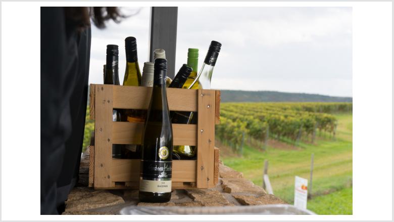 Weinfahrt an den Rhein